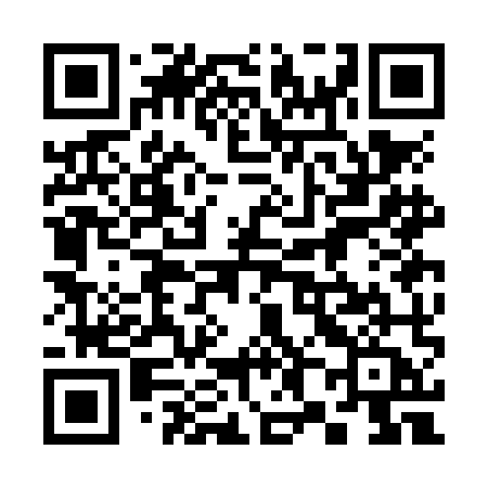 QR code for 383NMA