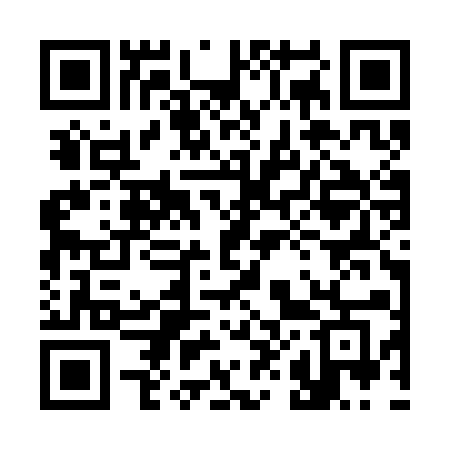 QR code for 383SAG