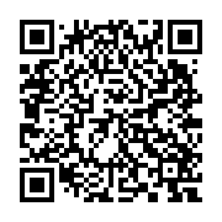 QR code for 383V46