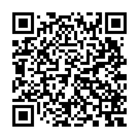QR code for 383V49