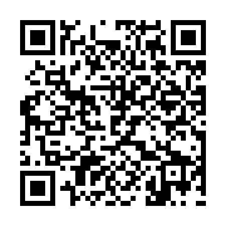 QR code for 383Z69