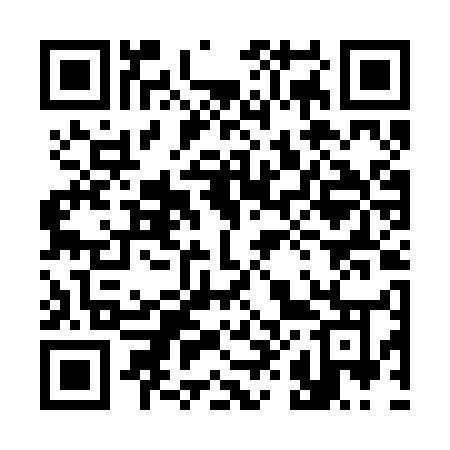 QR code for 384BUO