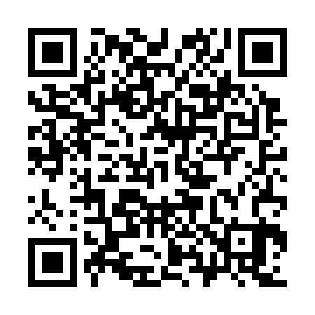 QR code for 384C23
