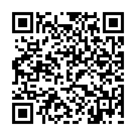 QR code for 384C31