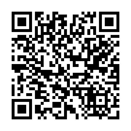 QR code for 384C49