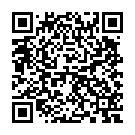 QR code for 384D13