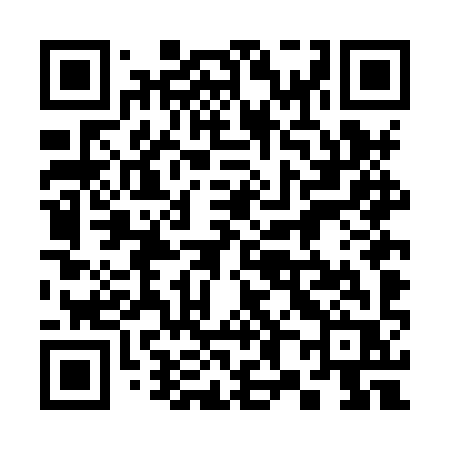 QR code for 384HYR