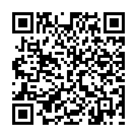QR code for 384IAF