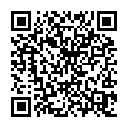 QR code for 384JIC