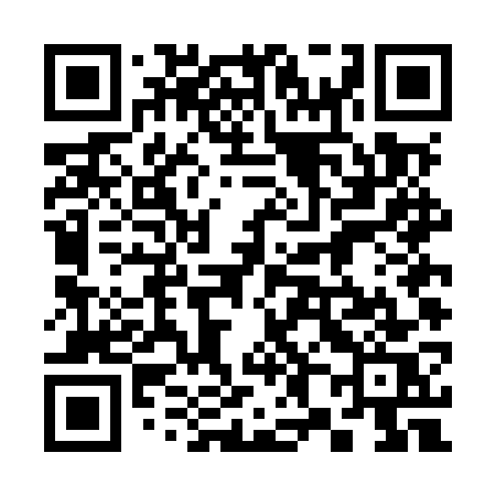 QR code for 384MWS