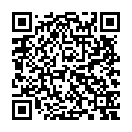 QR code for 384N39