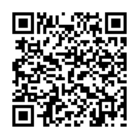 QR code for 384QGX