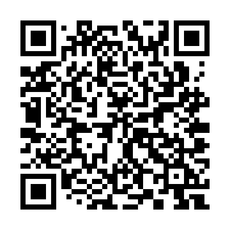 QR code for 384SNE