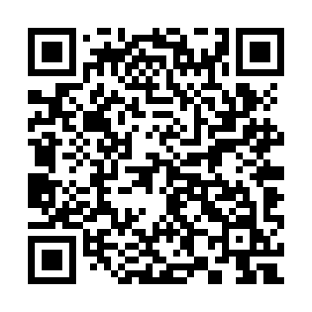 QR code for 384ZIN