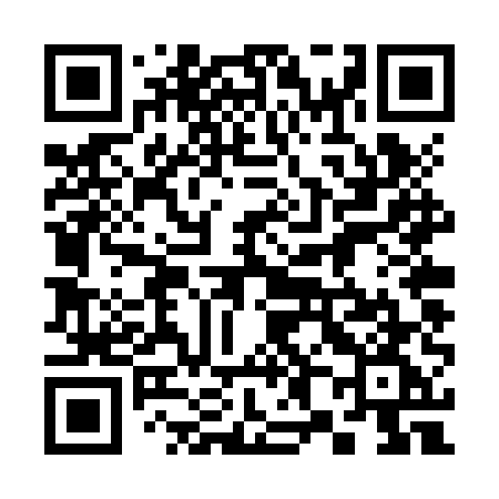 QR code for 384ZUG