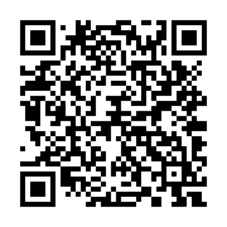 QR code for 384ZYZ