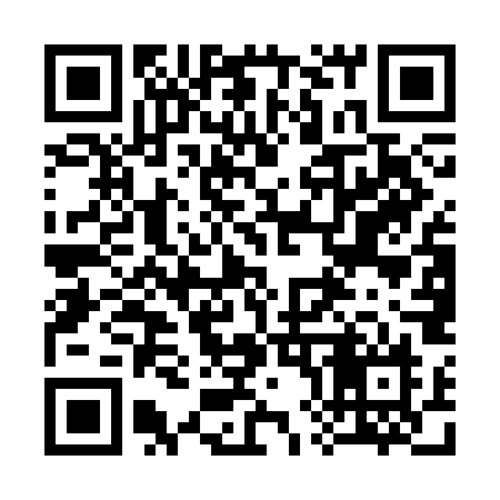 QR code for 385CON
