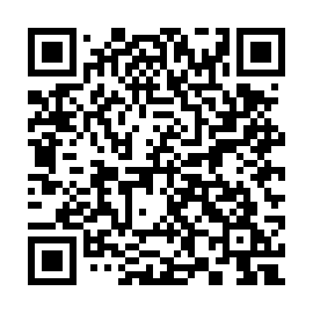 QR code for 385DSG