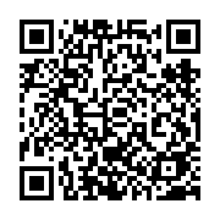 QR code for 385FIE