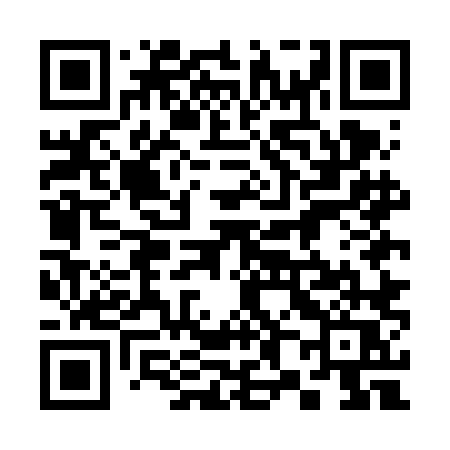QR code for 385FLQ
