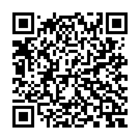 QR code for 385GDD