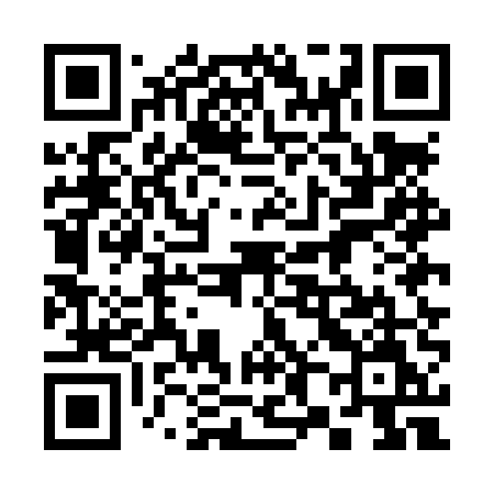 QR code for 385LUM