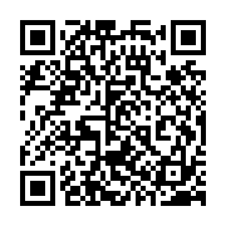 QR code for 385N33