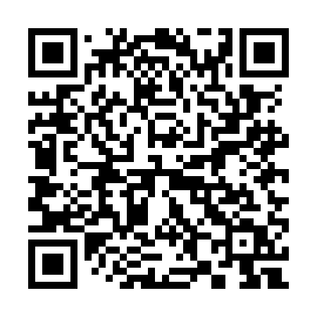 QR code for 385OAT