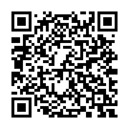 QR code for 385PYL