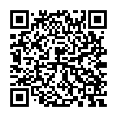 QR code for 385Q46