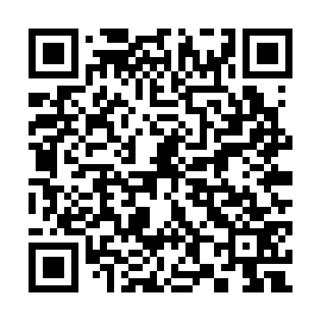QR code for 385S73