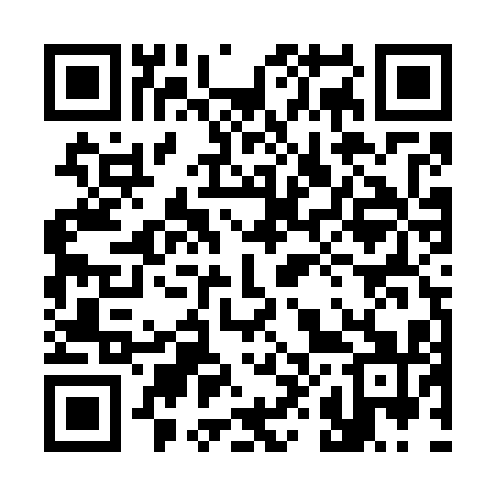 QR code for 385W11