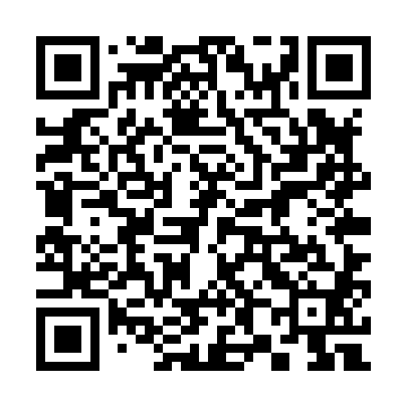 QR code for 385X80