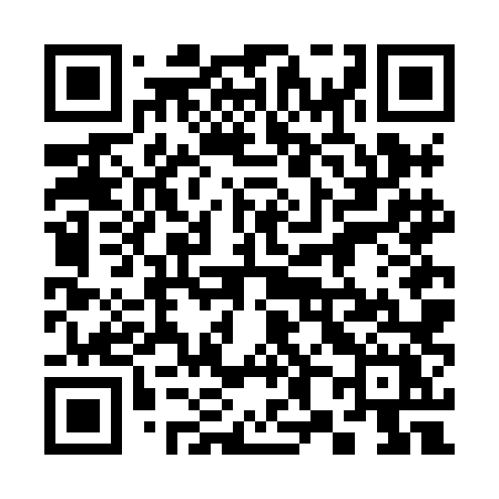 QR code for 386HLX