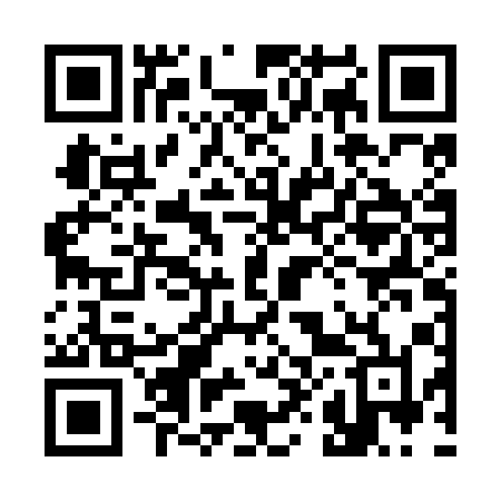 QR code for 386NAL