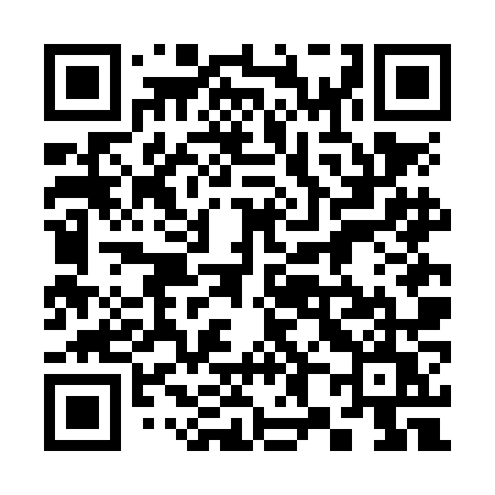 QR code for 386NNU