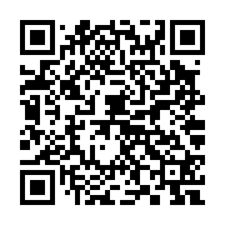 QR code for 386P20