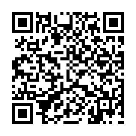QR code for 386P31