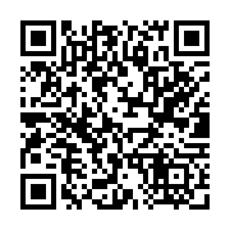 QR code for 386Q63
