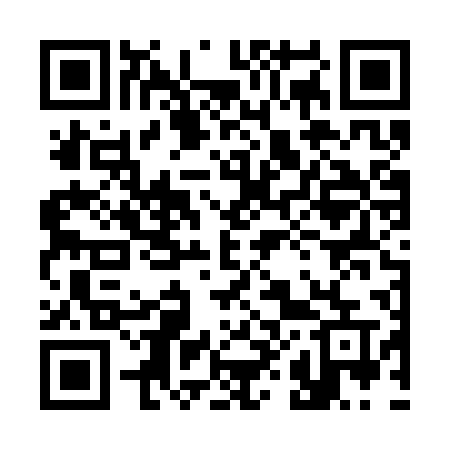 QR code for 386SPU