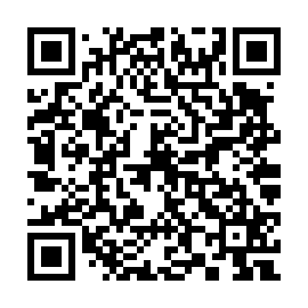 QR code for 386T25