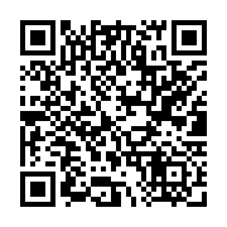 QR code for 386Y33