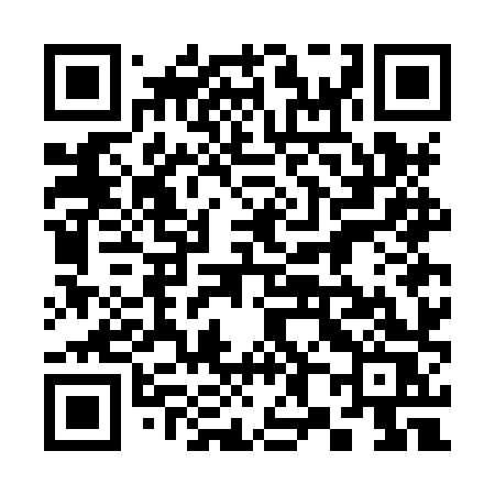 QR code for 387HXS