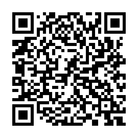 QR code for 387ISI