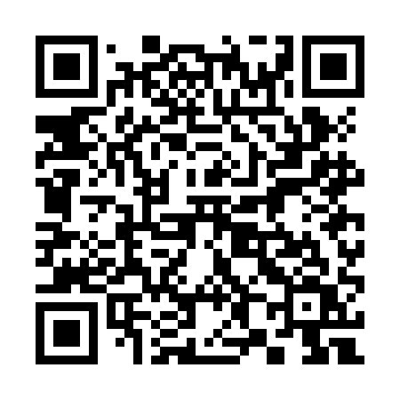 QR code for 387JAV