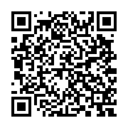 QR code for 387P12
