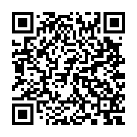 QR code for 387P13