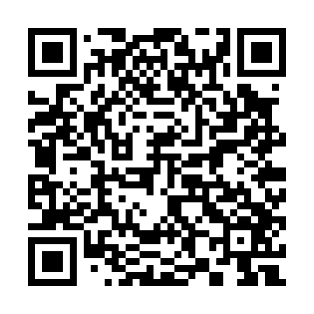 QR code for 387P46