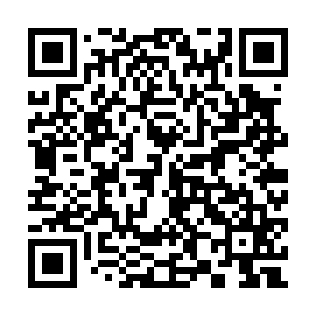 QR code for 387P65