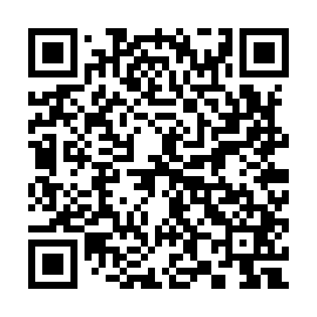 QR code for 387Y41